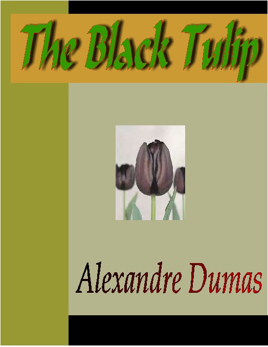 Cover image for The Black Tulip